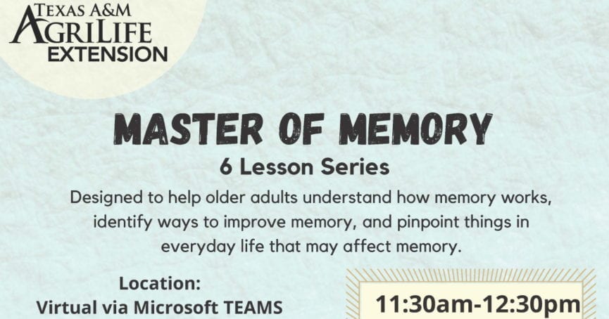 Master of Memory Online Series